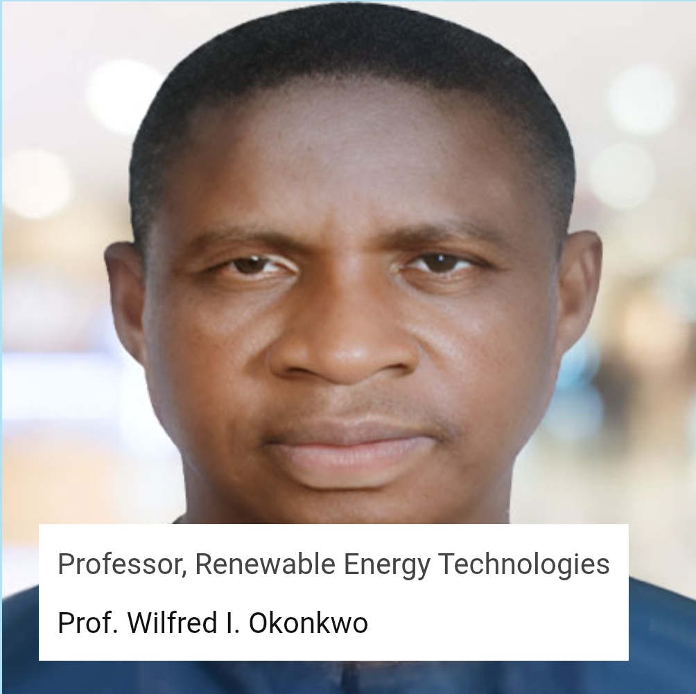 Prof Wilfred I. Okonkwo