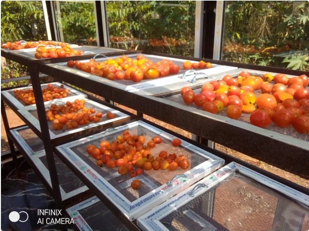 Solar Energy Crop Dryer